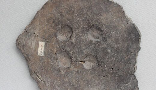 縄文人のおやくそく