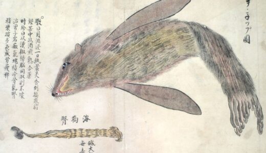 リーダーの資格とは