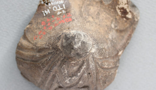 縄文人のカ・タ・チ